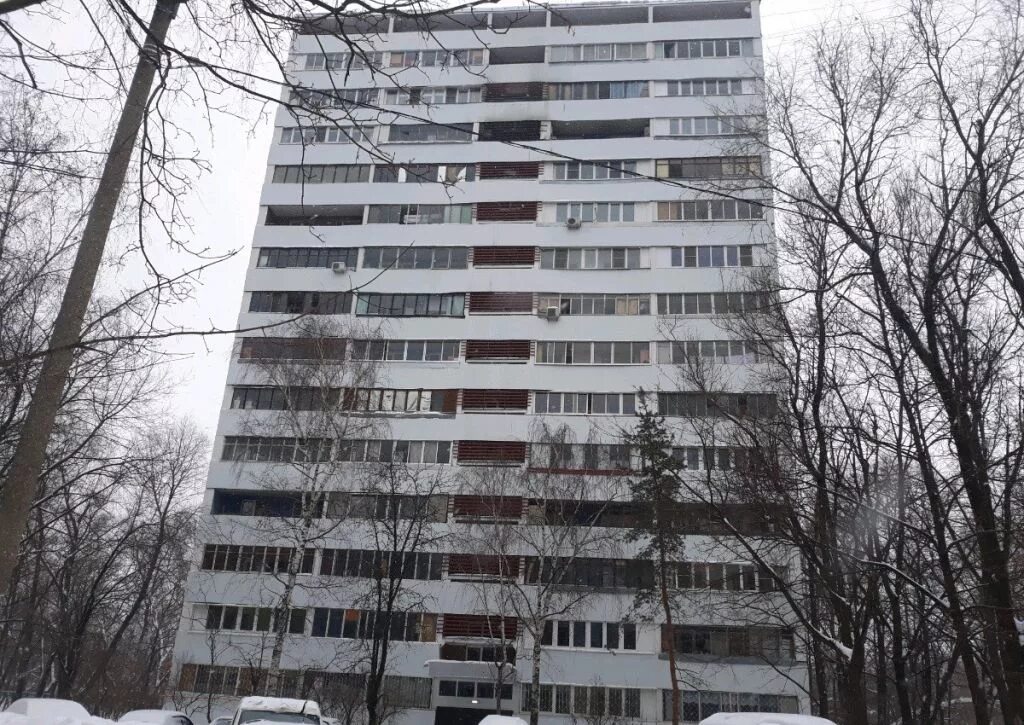 Большая косинская 3