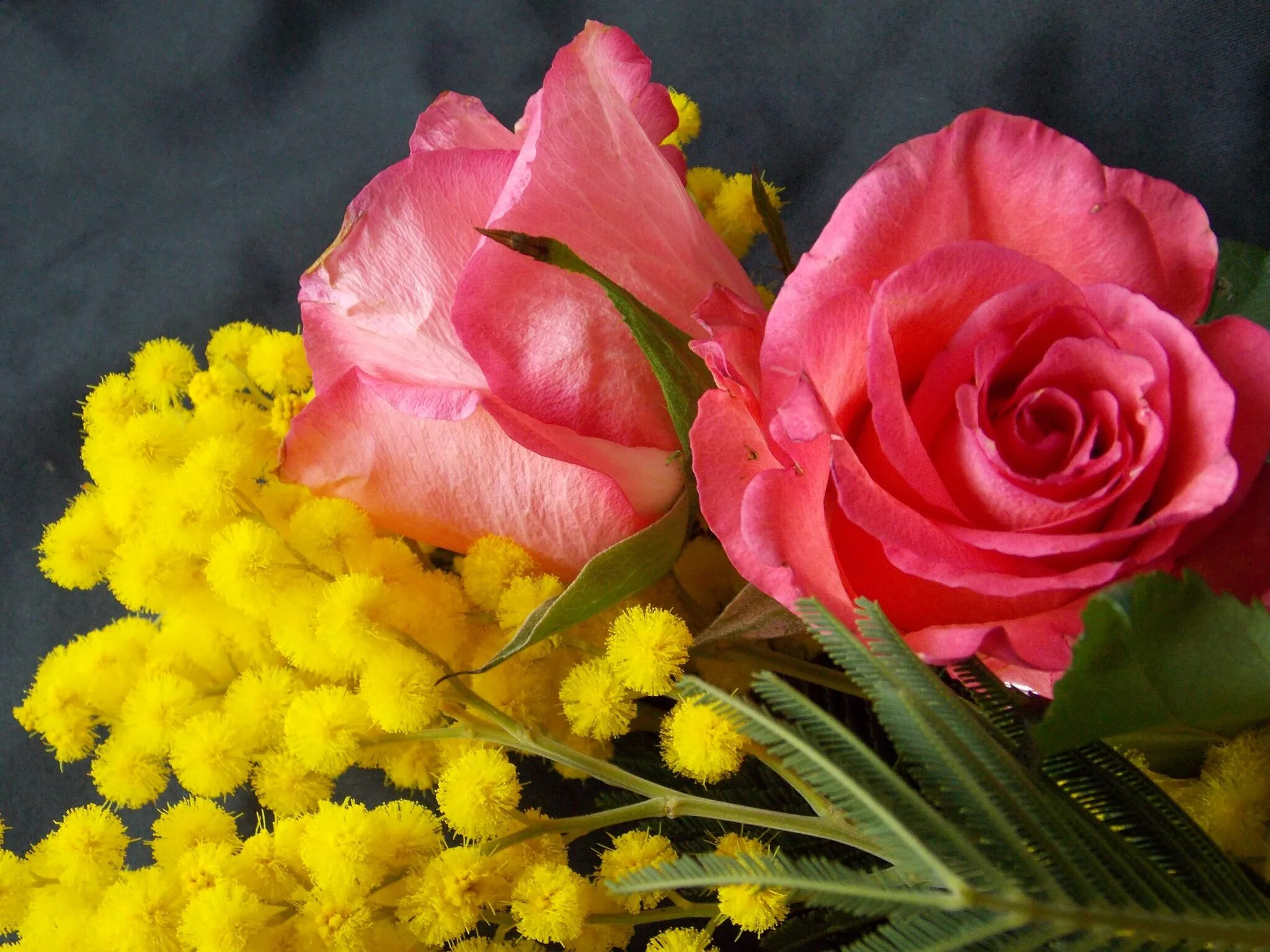 Букет роз к 8 марту. Мимоза и тюльпаны. Цветы розы - мимозы. Мимозы розы и тюльпаны.
