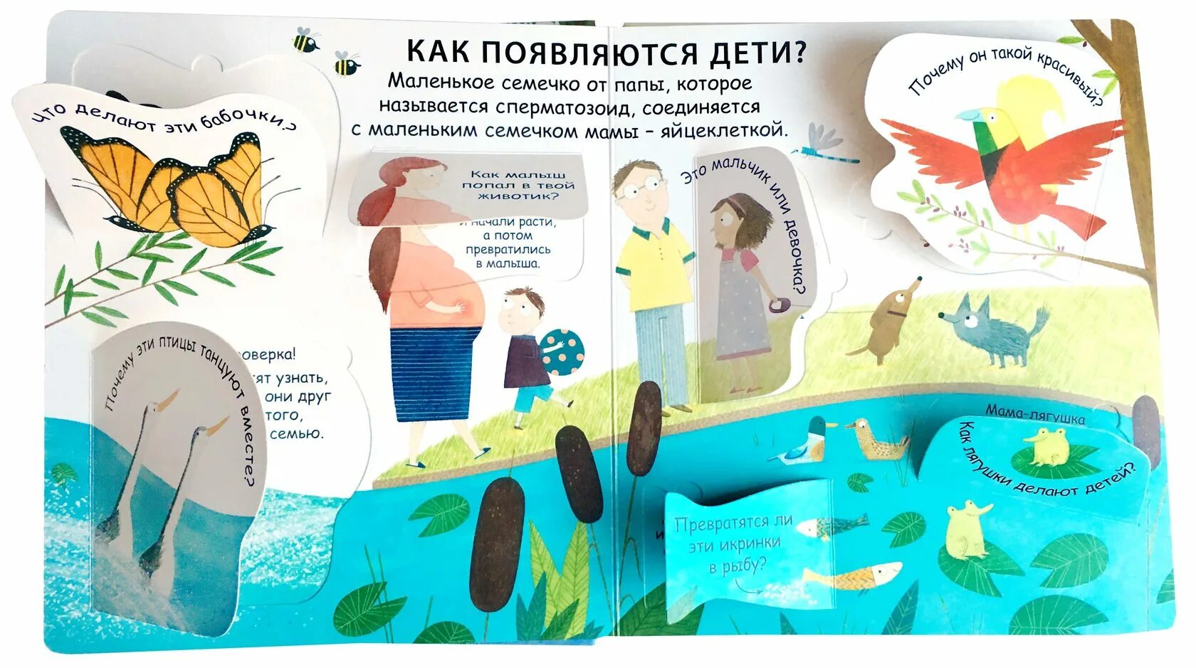 Откуда появляются дети. Откуда берутся дети книга для детей. Книжки с окошками Робинс. Откуда берутся дети книга с окошками