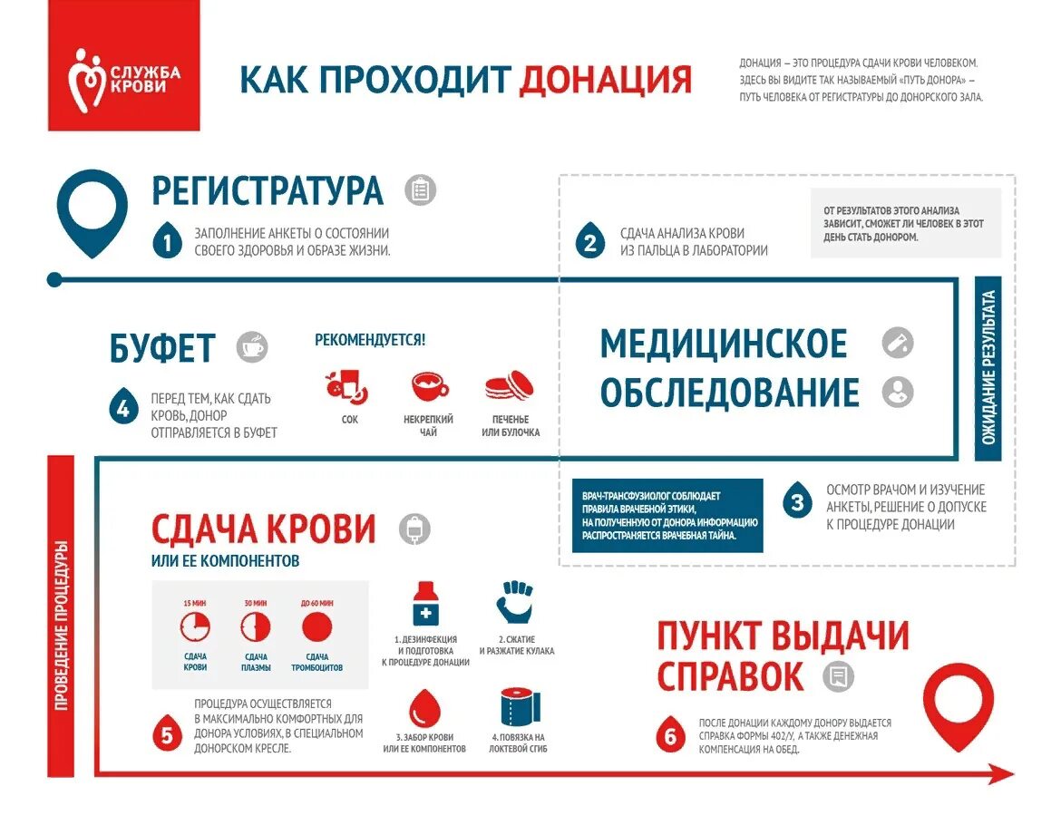 Как определить донора крови. Процедура сдачи крови. График сдачи крови. Нормы сдачи крови донорами.