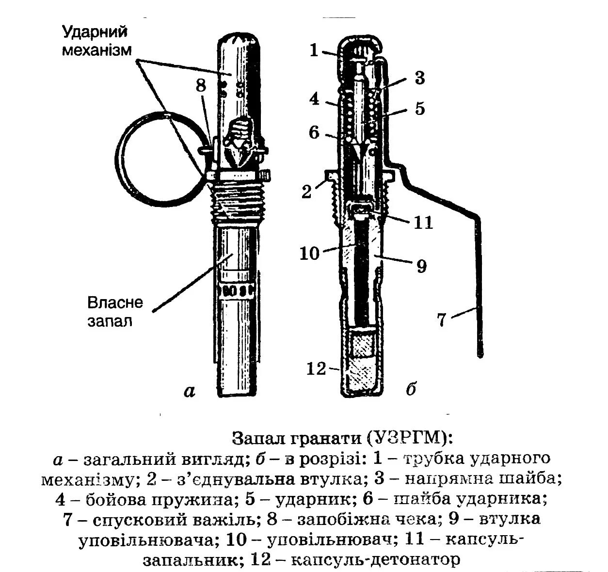 Чертеж гранаты РГД 5. Запал гранаты ф1 устройство. Запал гранаты УЗРГМ, УЗРГМ-2. Запал гранаты ф 1 чертеж.