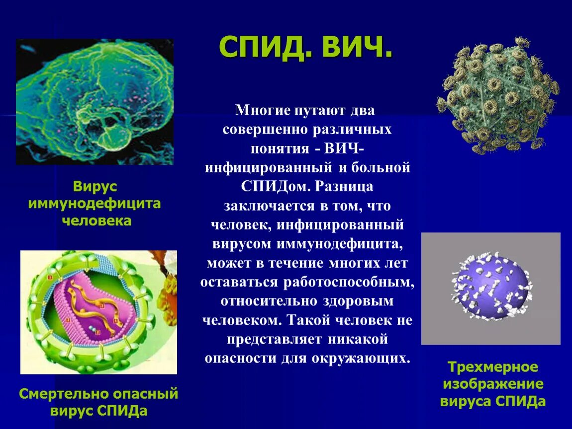 Вирус иммунодефицита человека. Презентация на тему вирусы. Вирус ВИЧ. Спид биология 8 класс