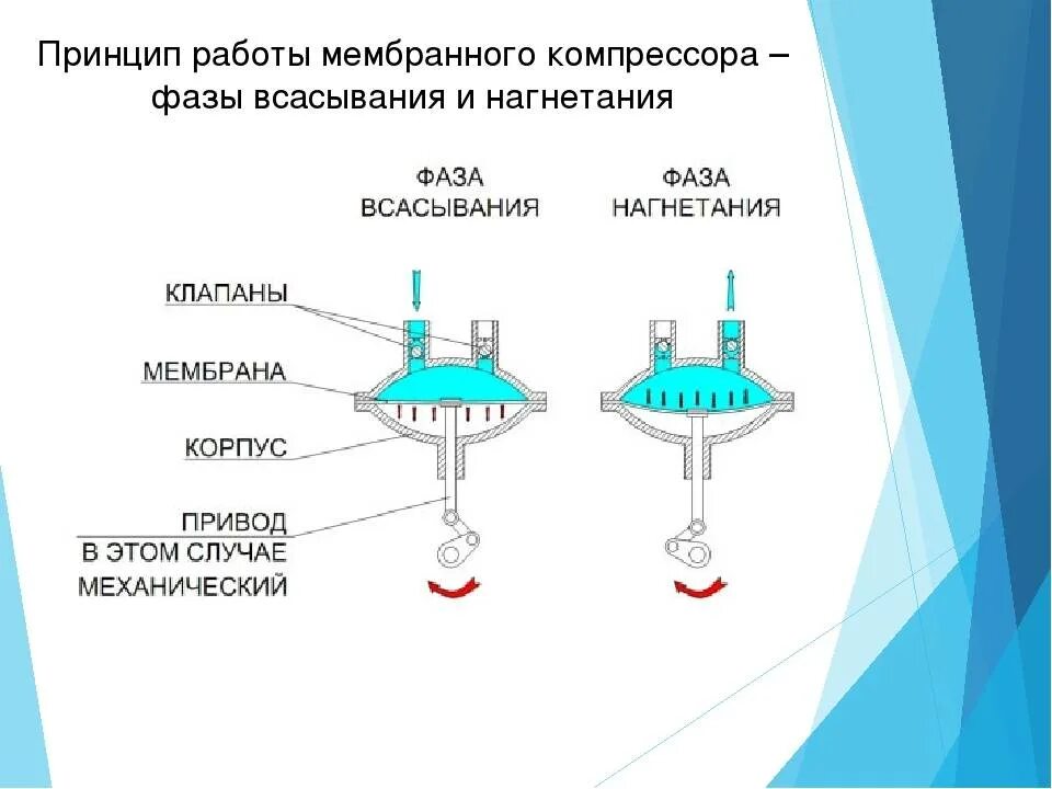 Принцип действия заключается в. Мембранный компрессор принцип работы. Принцип действия и конструкция мембранного компрессора. Мембранный компрессор схема и принцип действия. Мембранные компрессоры устройство принцип действия.