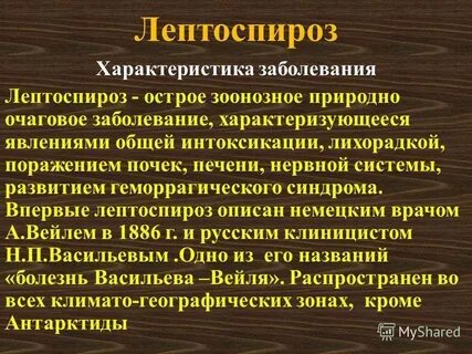Лептоспироз у человека симптомы