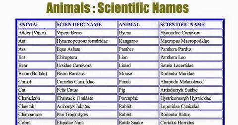 Specific name