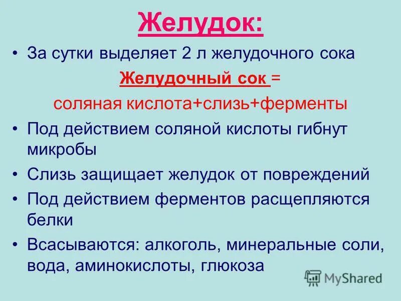 Почему выделяется желудочный сок