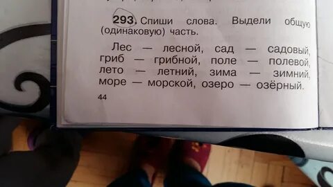Выдели одинаковые