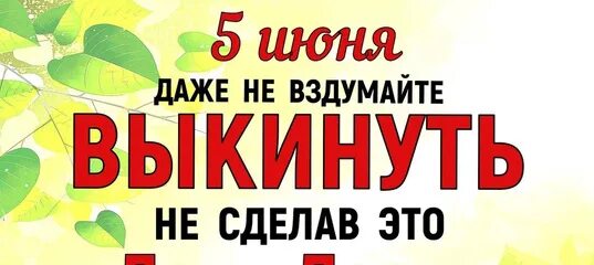 День эколога и всемирный день охраны окружающей среды. 5 июня з. Всемирный день охраны окружающей среды. 5 июня з. 5 июня праздник окружающей среды всемирный день.