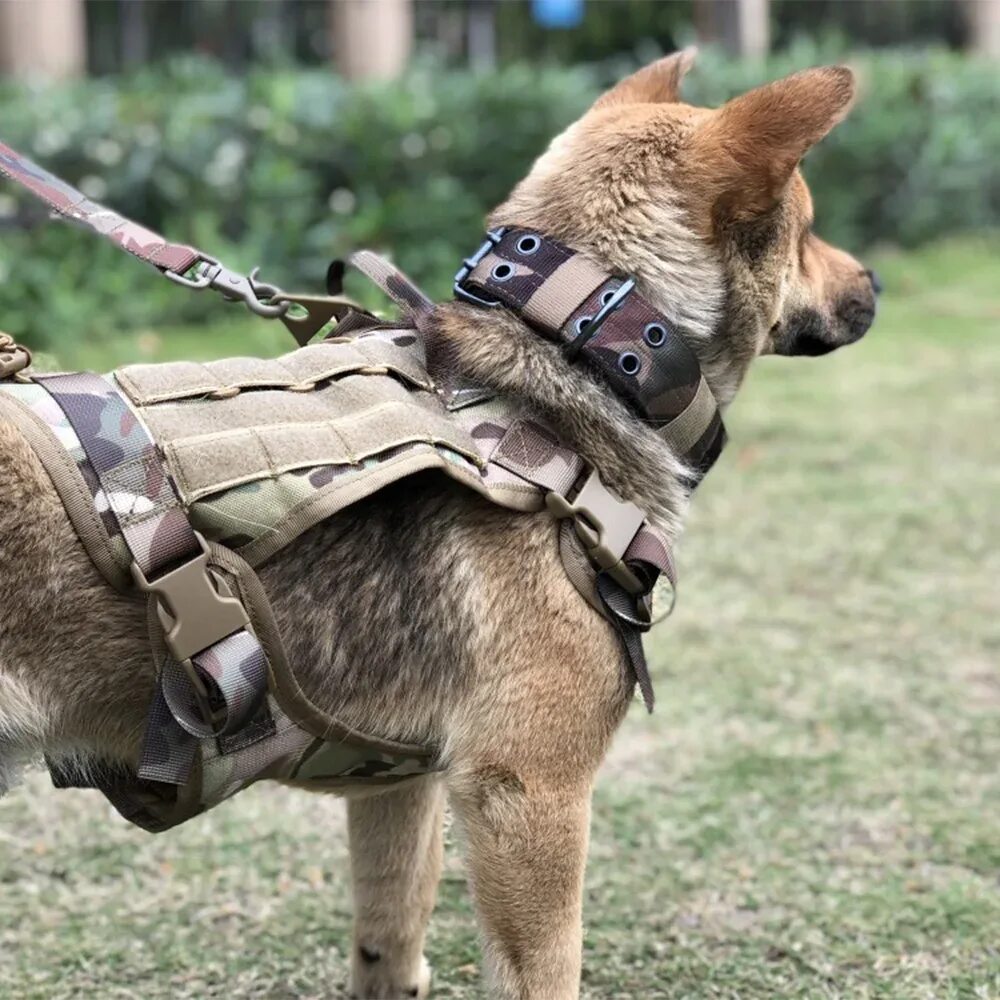 Шлейка Tactical Dog. Military Tactical Dog harness. Шлейка Comfy harness. Шлейка Жиллет для собак крупных пород.. Тактическая шлейка для собак