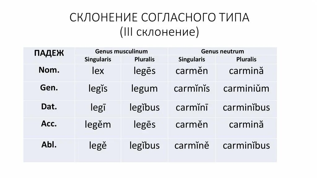 Согласный Тип 3 склонения в латинском языке. Существительные согласного типа третьего склонения латынь. Типы 3 склонения латынь. Типы 3 склонения в латинском языке.