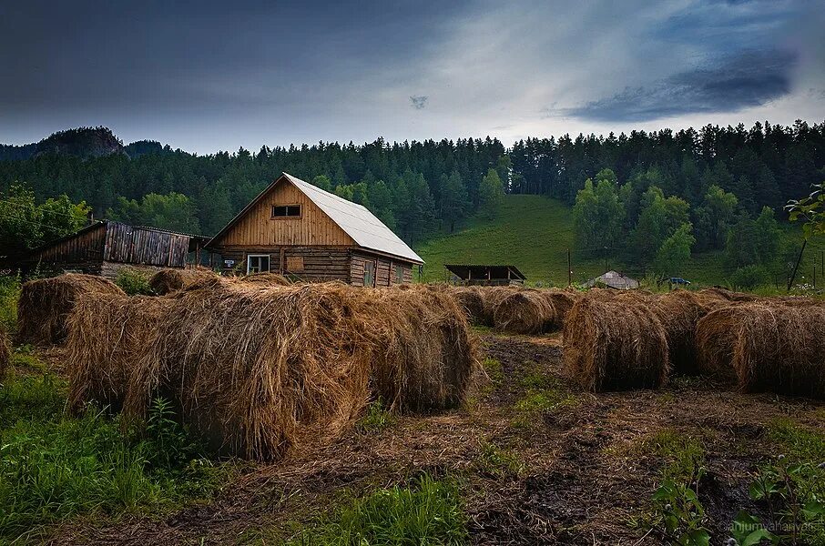 Сельская местность. Природа сельской местности. Сельская местность России. Деревенский домик. Сельская