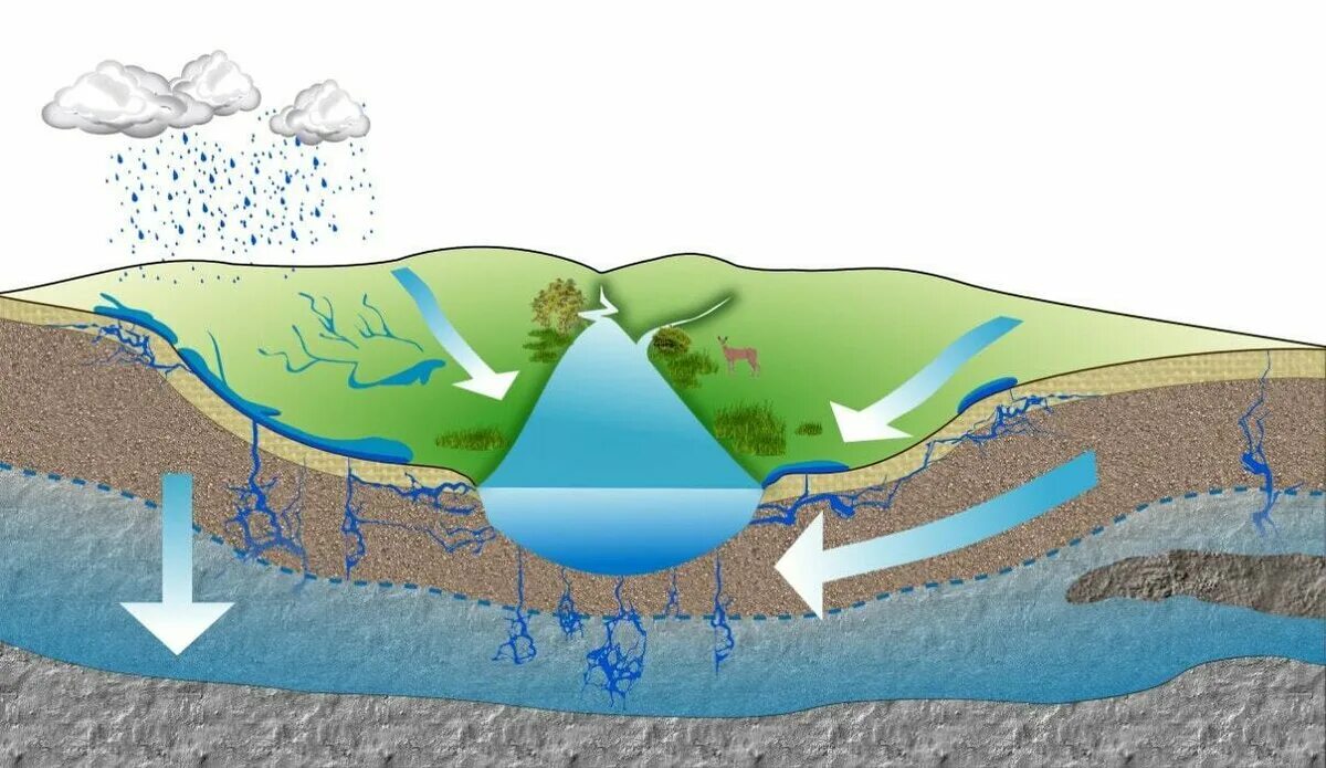 Сток на рельеф. Бассейны подземных вод и водоносные горизонты. Подземные воды. Грунтовые воды. Поверхностные и подземные воды.