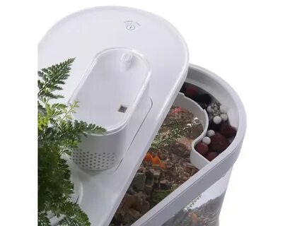 Xiaomi smart fish