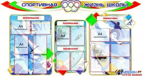 Спортивная жизнь школы