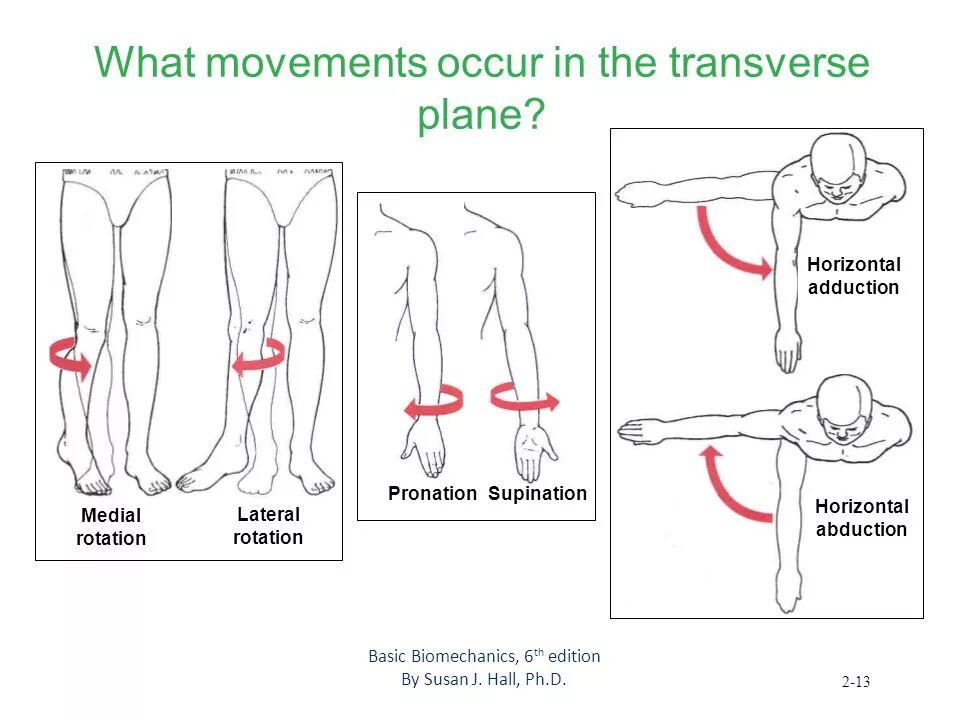 What is the movement. Horizontal adduction. transverse plane. lateral movement. a transverse direction.