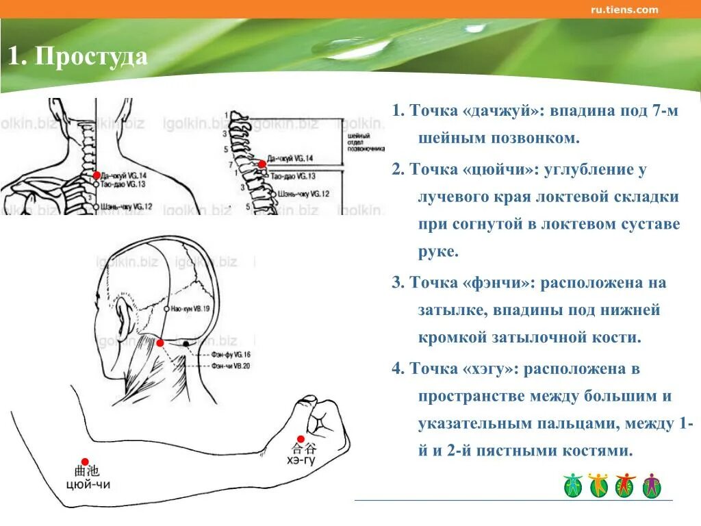 Иглорефлексотерапия точки воздействия. Акупрессура точечный массаж акупунктура. Точки акупунктуры на локтевом суставе. Точечный массаж схема.