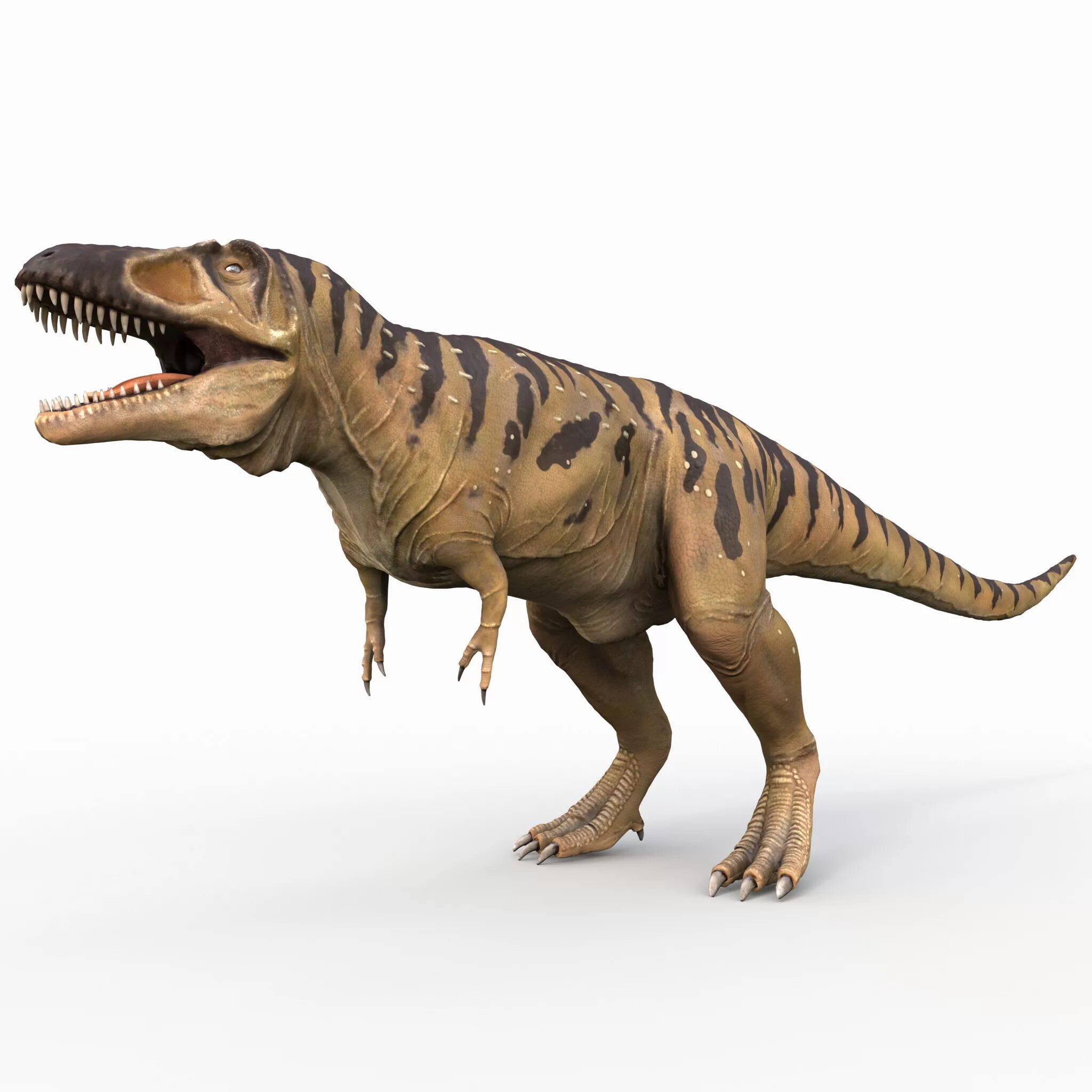 Динозавр тарбозавр. Теропод Тарбозавр. Тарбозавр - хищный динозавр. Торвозарв динозавр.
