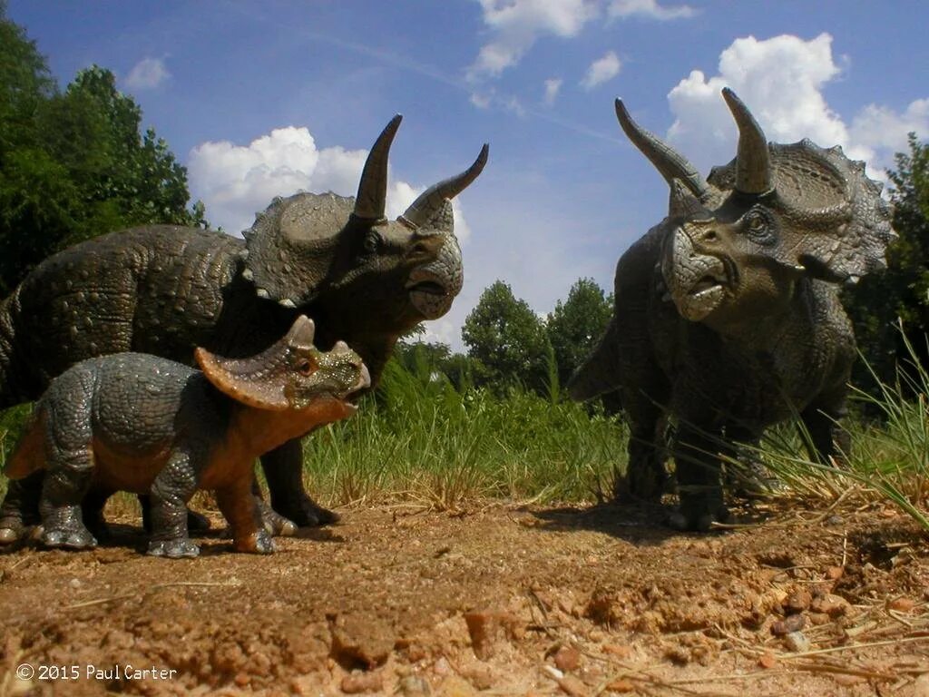 Трицератопс картинки. Травоядные динозавры Трицератопс. Трицератопс динозавр стадо. Шерстистый Трицератопс. Атрацераптер динозавров.