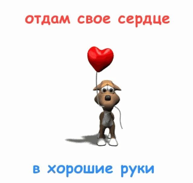 Держись мое сердце на русском. Отдам сердце в хорошие руки. Отдать свое сердце. Отдам сердце в добрые руки. Отдам сердце в доьрый руки.