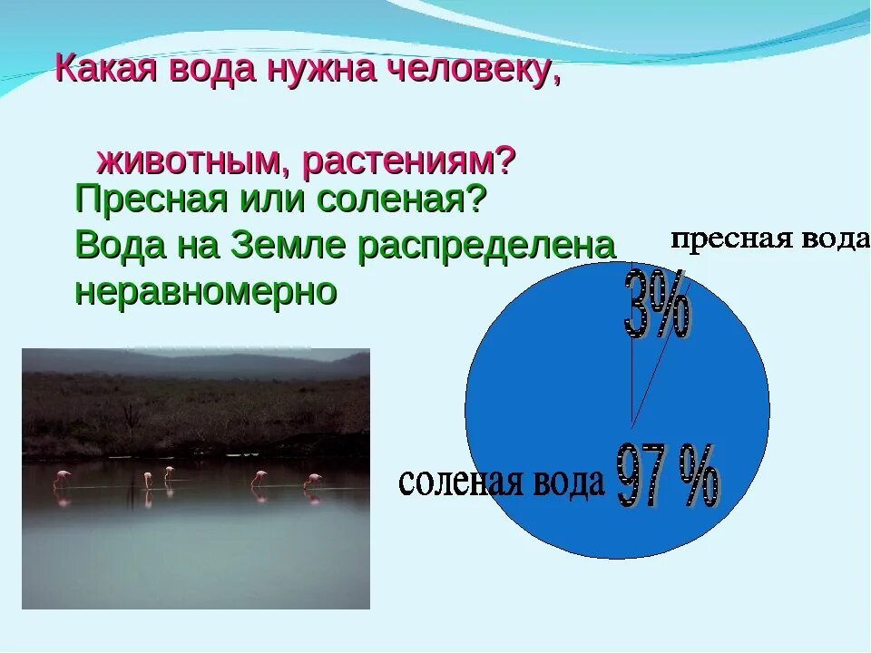 Почему вода в реке пресная. Соленая и пресная вода на земле. Пресная вода это какая. Пресная вода на земле вода. Вода пресная и соленая для детей.