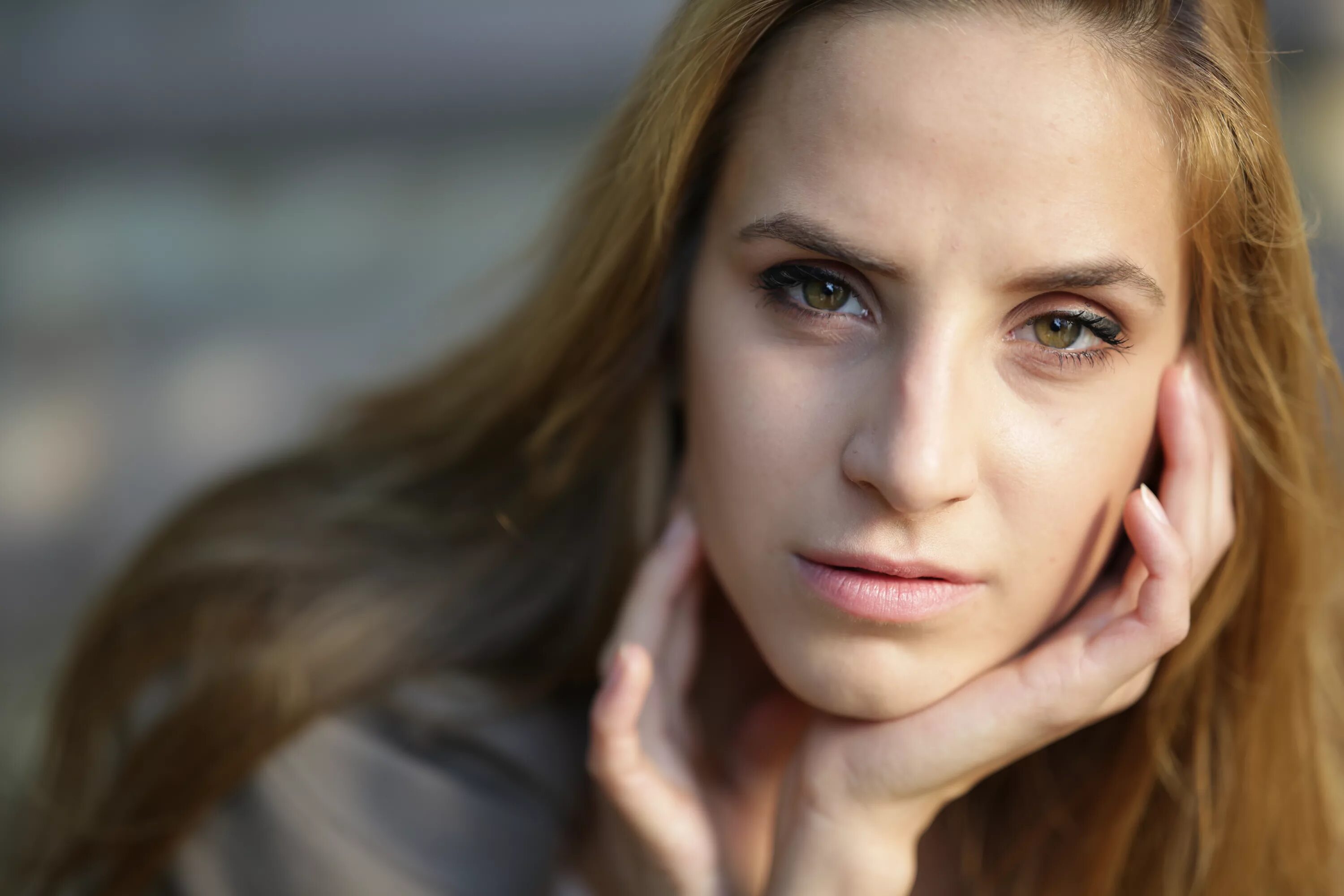 Объектив: Carl Zeiss Planar T* 50 mm f/ 1.4 Z - тестовая фотография :: Lens-Club