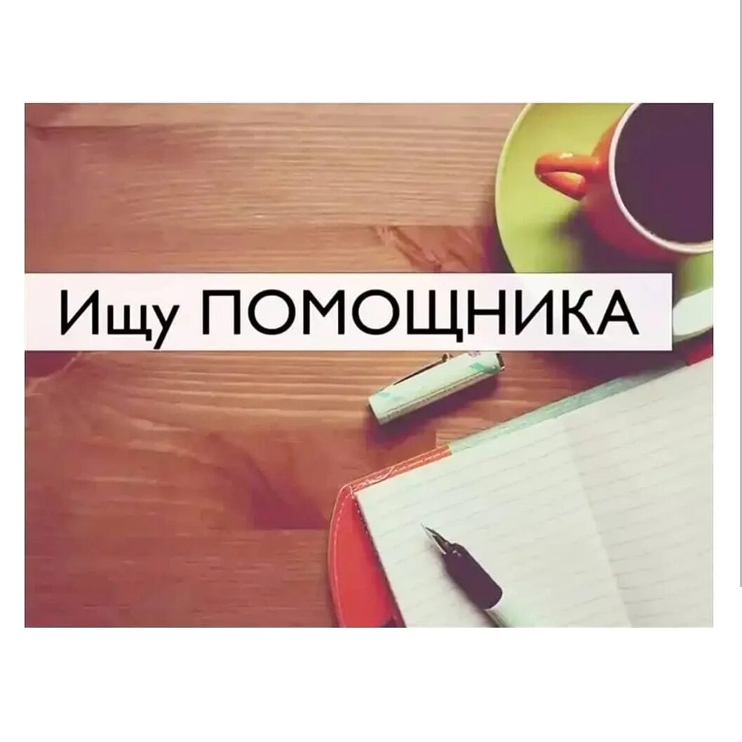 Помощник найти девушку. Ищу помощника. ищу помощницу. ищу помощника для работы.
