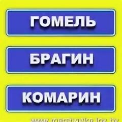 42 автобус гомель. Автобус Гомель Брагин. Маршрутка Гомель Брагин. Маршрутки Хойники Гомель. Минск-Хойники маршрутка.