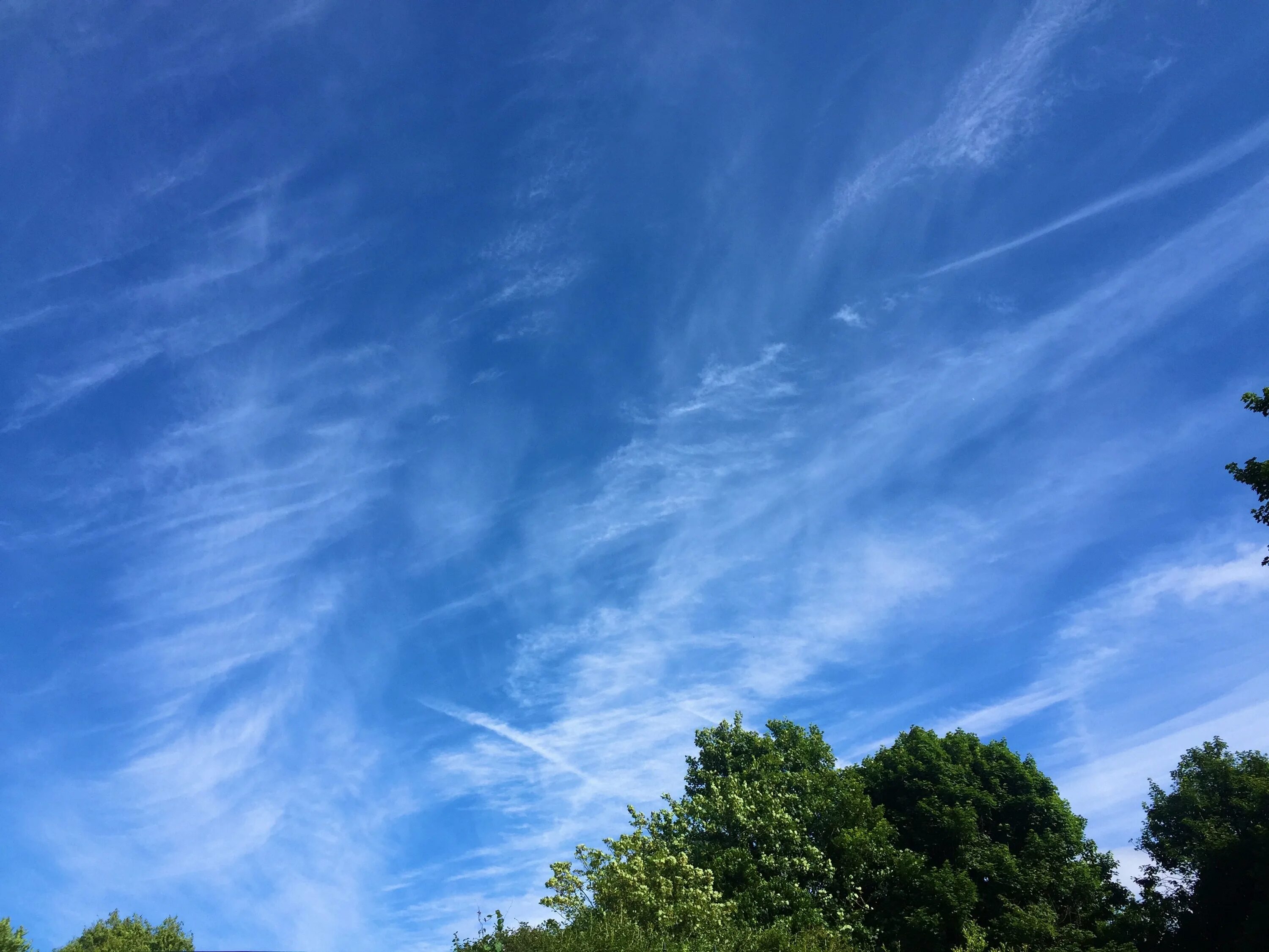 Небо конец. Облака. Close sky. Облака для фотошопа на прозрачном фоне. Туча.