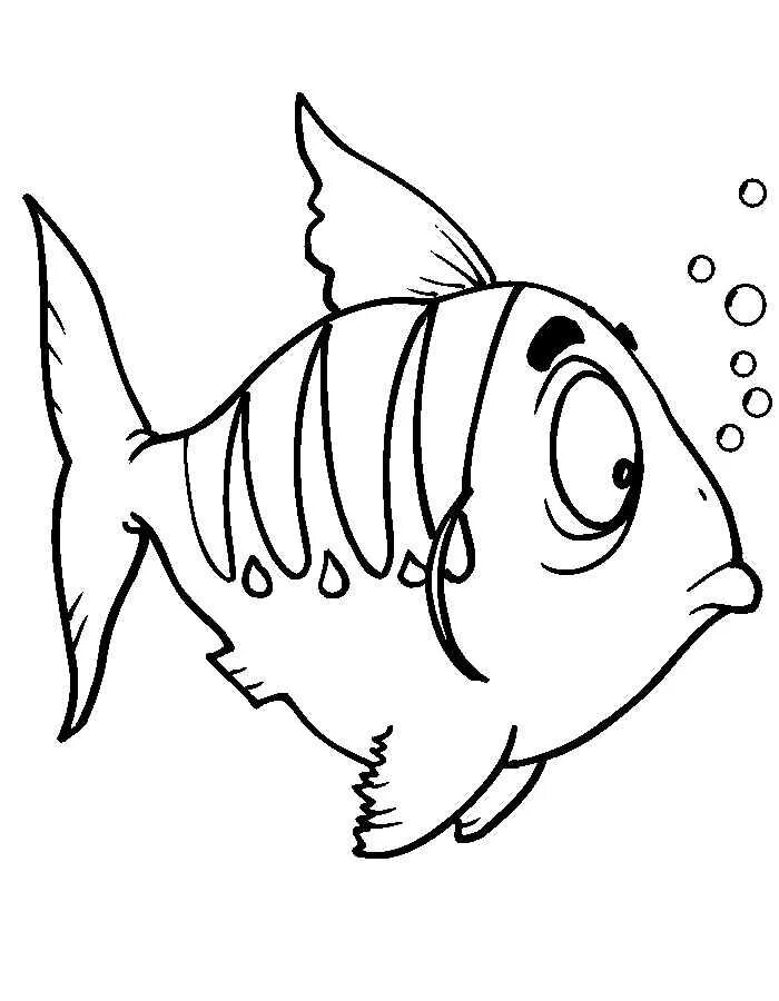Раскраска рыбы для детей 7 лет. Раскраска рыбка. Рыба раскраска для детей. Рыбка раскраска для детей. Рыбка рисунок раскраска.