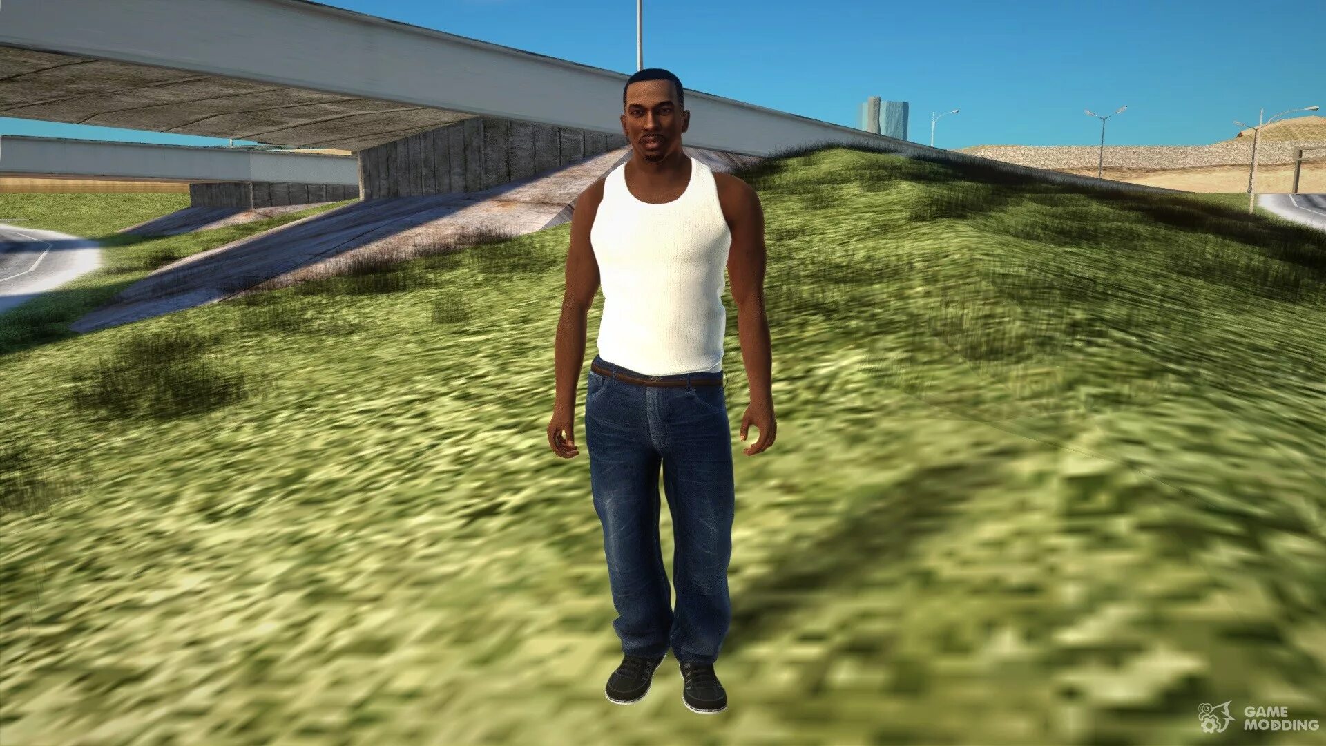 Cj san andreas. GTA Сиджей. Си Джей Сан андреас. СИДЖЕЯ ГТА Сан андреас. Фермер GTA San Andreas.