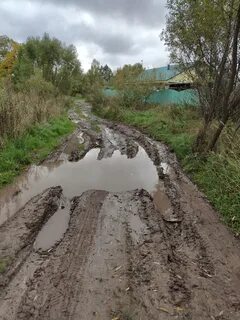Дорохово кожино
