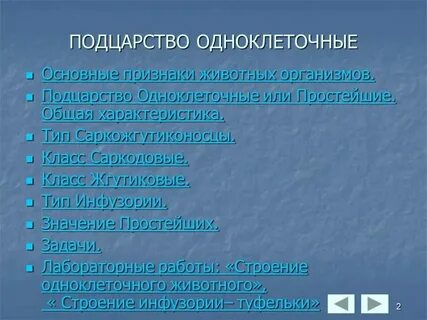 Общая характеристика одноклеточных 7 класс кратко