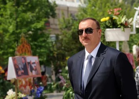 Алиев мгимо