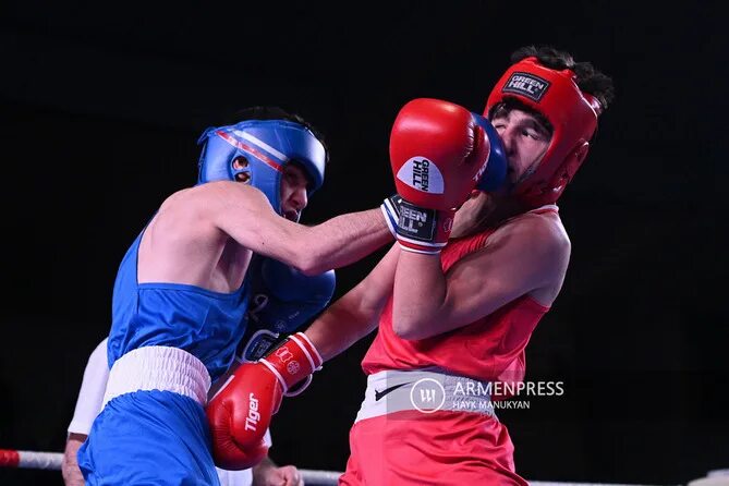 Горе бокс игра. Gorebox 3. Горе бокс последняя. Горе бокс ремастеред. Горе бокс анимосити.