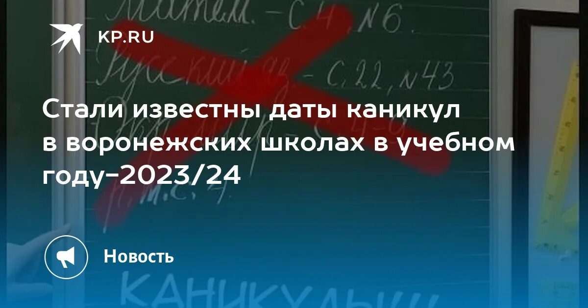 Каникулы воронежская область 2024. Осенние каникулы в школе в 2023 -24 году. Каникулы в школах 24 год. Каникулы в Воронеже 2024. Каникулы у первоклашек в ноябре 2023 году.