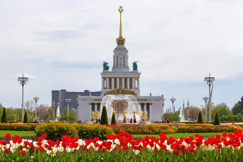 Партерные цветники вднх. Вднх цветочный партер. Вднх москва цветы. Вднх москва цветы. Розарий вднх.