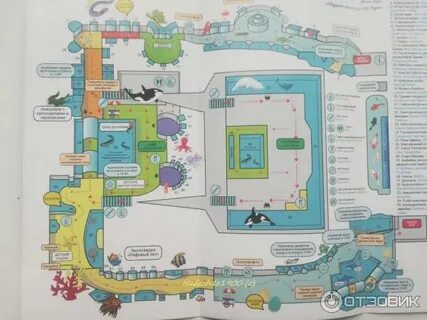 Можно ли в москвариум по пушкинской карте