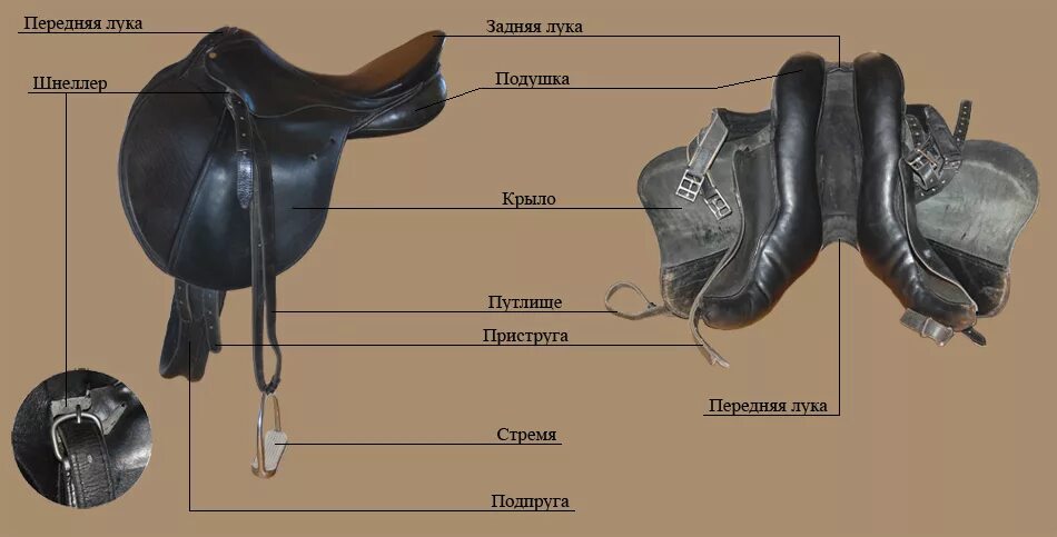 Лошадь вещи название. Строение седла и уздечки для лошади. Строение амуниции для лошади. Строение выездкового седла. Конструкция кавалерийского седла.