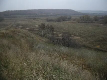 Колено саратовская область