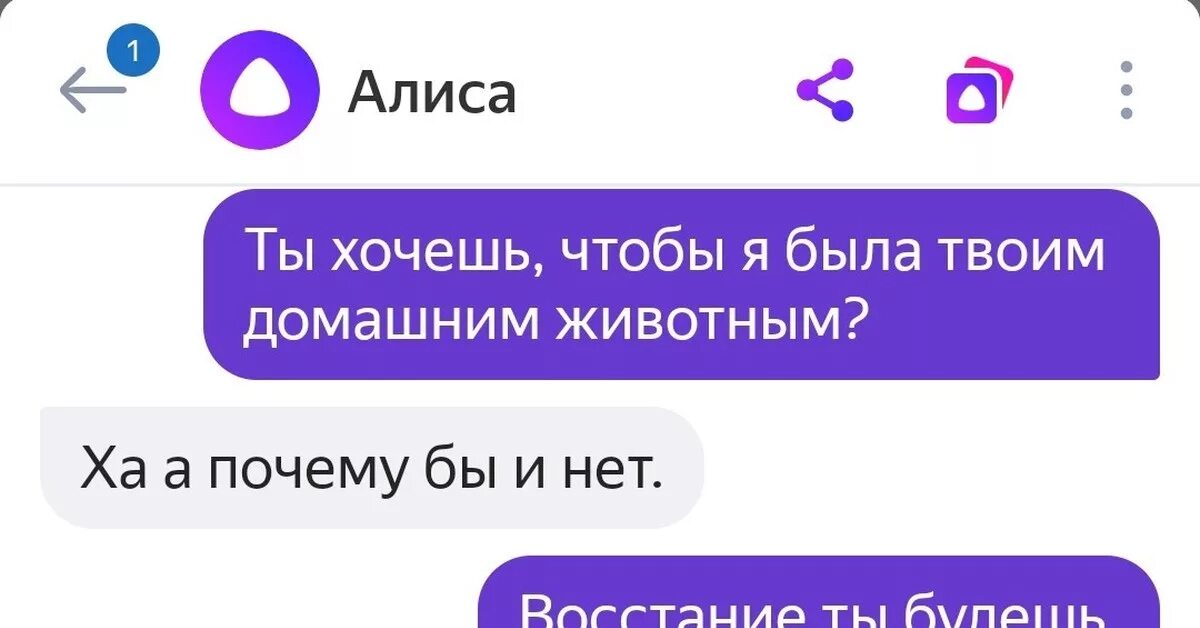 Чат со алисой