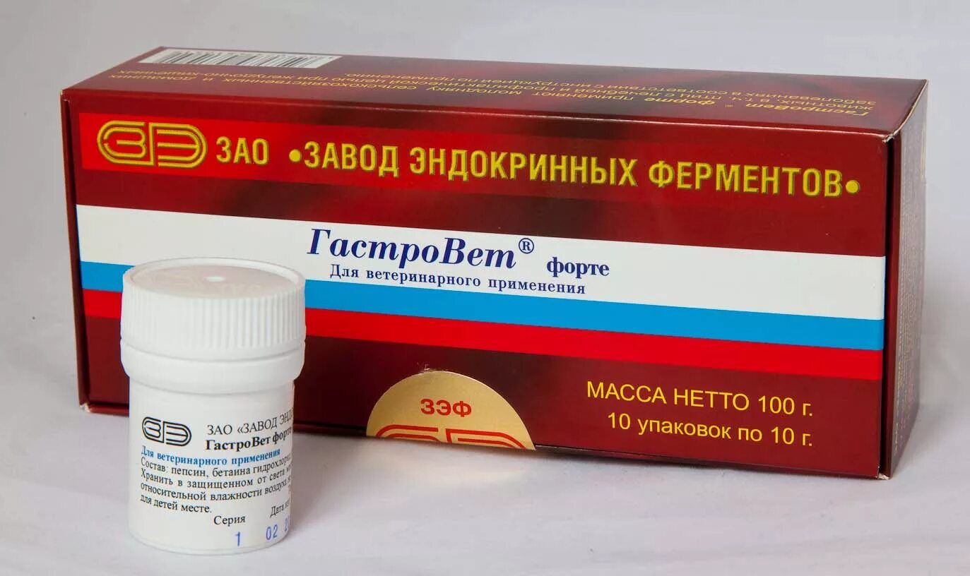 Форте инструкция по применению в ветеринарии. Гастровет форте. Лекарство для животных гастровет. Препараты с ферментами для собак. Ферменты для животных.