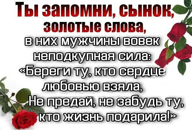 Берегите слова мать. Статус про невестку. Цитаты про сноху. Неблагодарный сын цитаты. Высказывания о невестках.