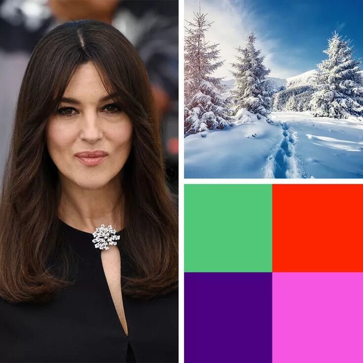 Відтінки зими in 2023 Deep winter colors, Deep winter palette, Colour combinatio
