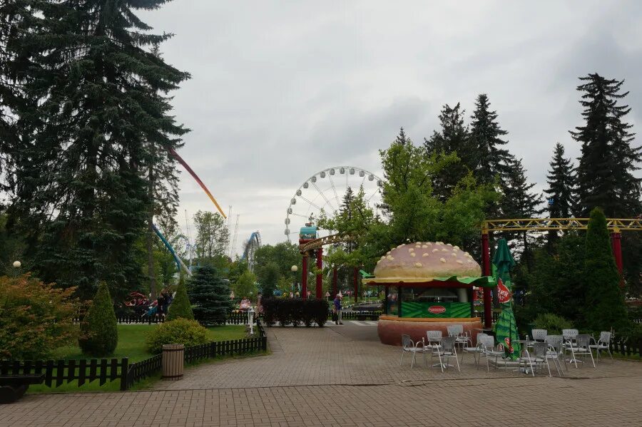 Парк диво остров в Санкт-Петербурге. Кафе диво остров СПБ. Кафе веранда диво остров. Кафе Пирс диво остров.