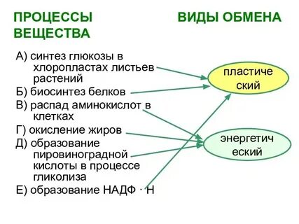 2 виды обмена