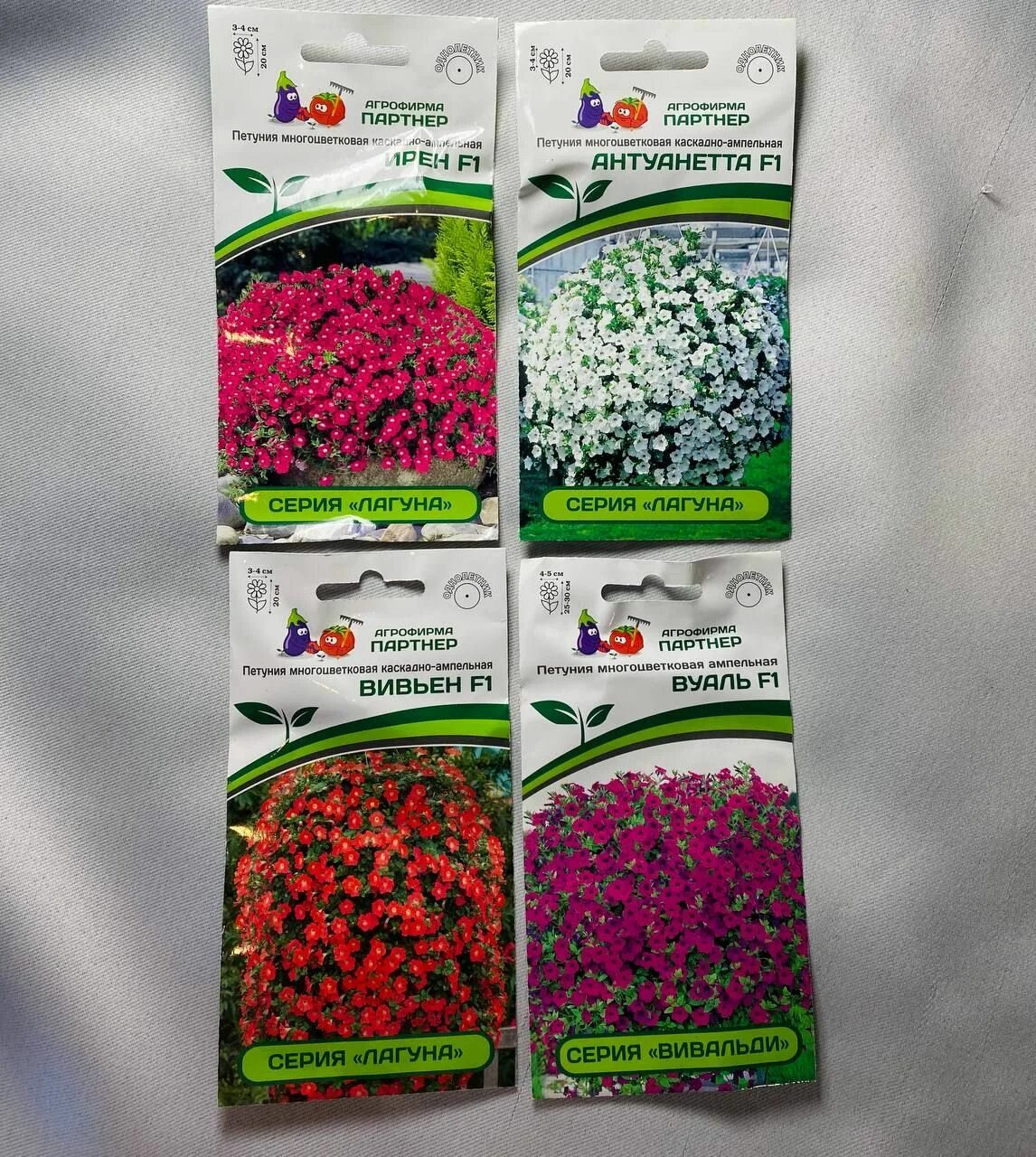 Петуния лагуна альбертина f1. Петуния вуаль партнер. Корал кисс петуния зацветёт. Петуния вивальди вуаль f1. Петуния вивальди вуаль f1.