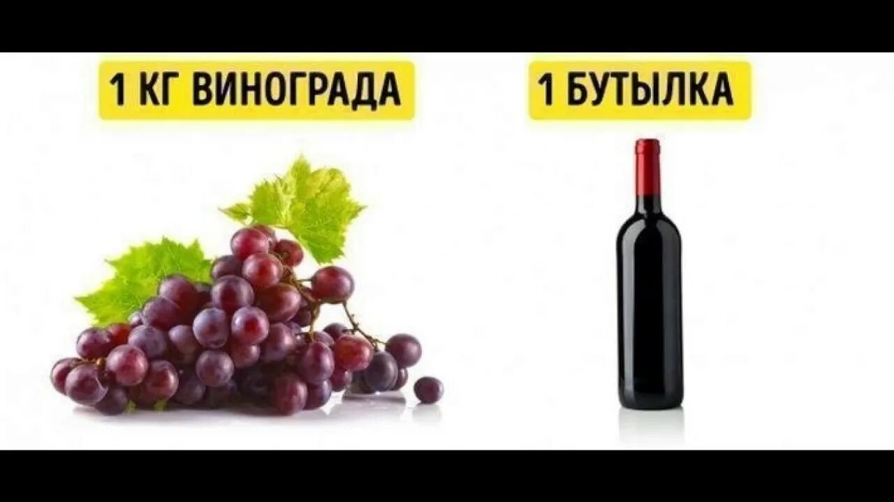 10 килограмм винограда. Виноградинка для бутылки вина. Килограмм винограда. Интересные факты про вино. Вино с винограда с 1кг.