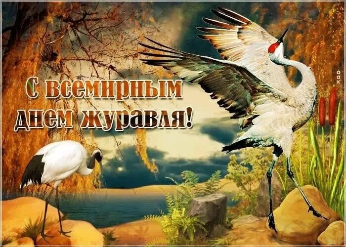 Картинка день журавлей. Картинка день журавлей. Картинка день журавлей. Всемирный день журавля. Открытки всемирный день журавля.