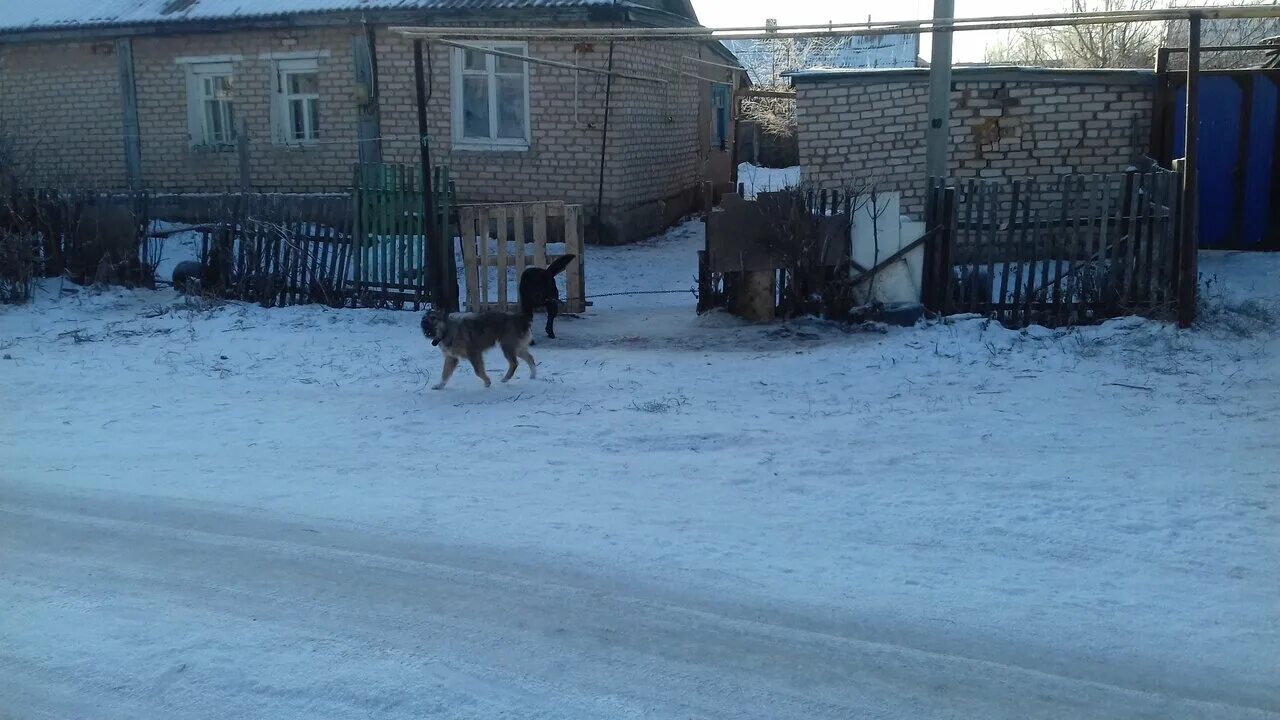 исторические здания абдулино. рп5 абдулино. рп5 оренбург. рп5 абдулино. г абдулино оренбургской обл.