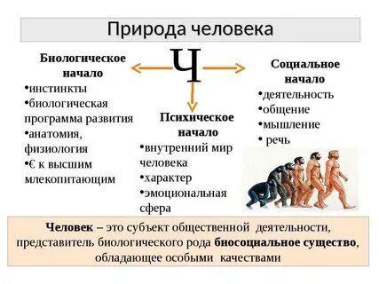 Определение и понятие индивид